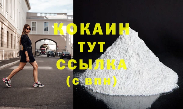 дмт Богданович