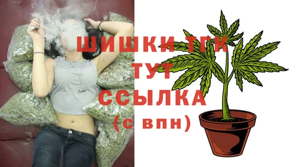 дмт Богданович
