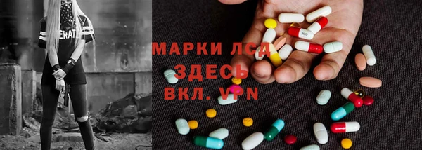 дмт Богданович