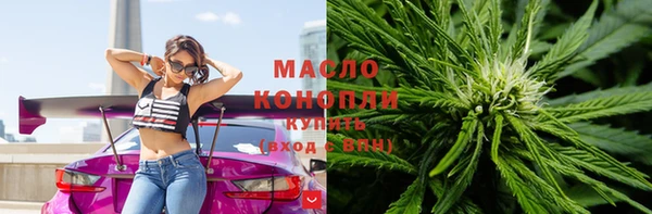 индика Нязепетровск