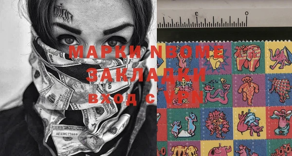 дмт Богданович