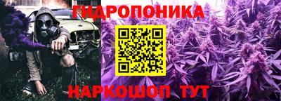 гашик Малгобек
