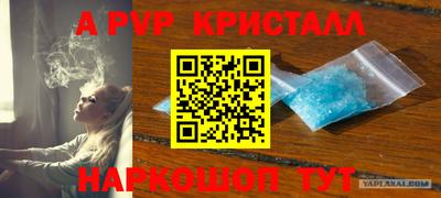 гашик Малгобек