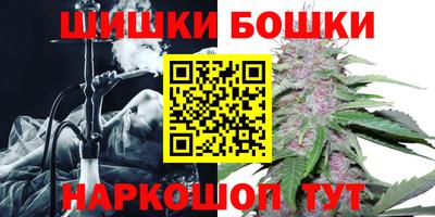гашик Малгобек