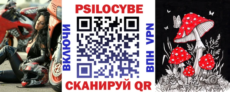магазин продажи   Северск  Галлюциногенные грибы Psilocybe 