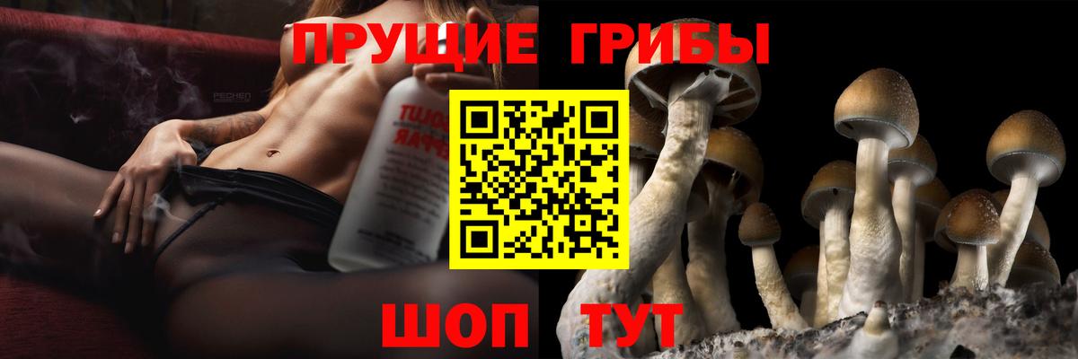 Северск  купить наркоту  Вход с VPN  Галлюциногенные грибы MAGIC MUSHROOMS 